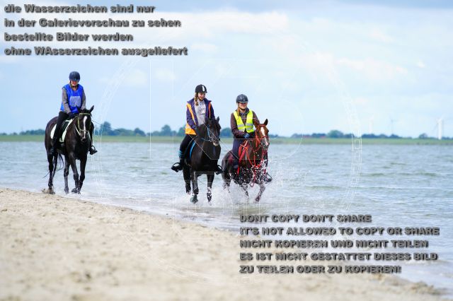 s_K3F05086.JPG